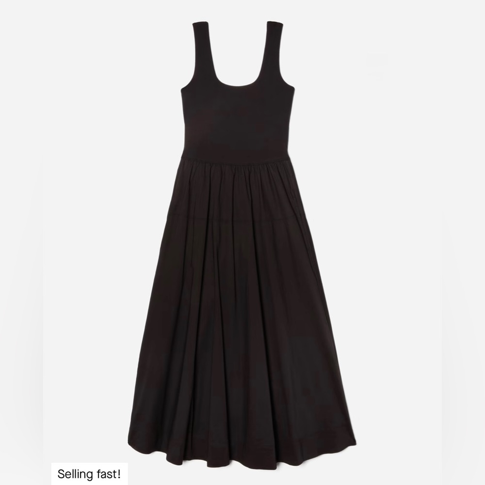 NWT Everlane Riviera dress